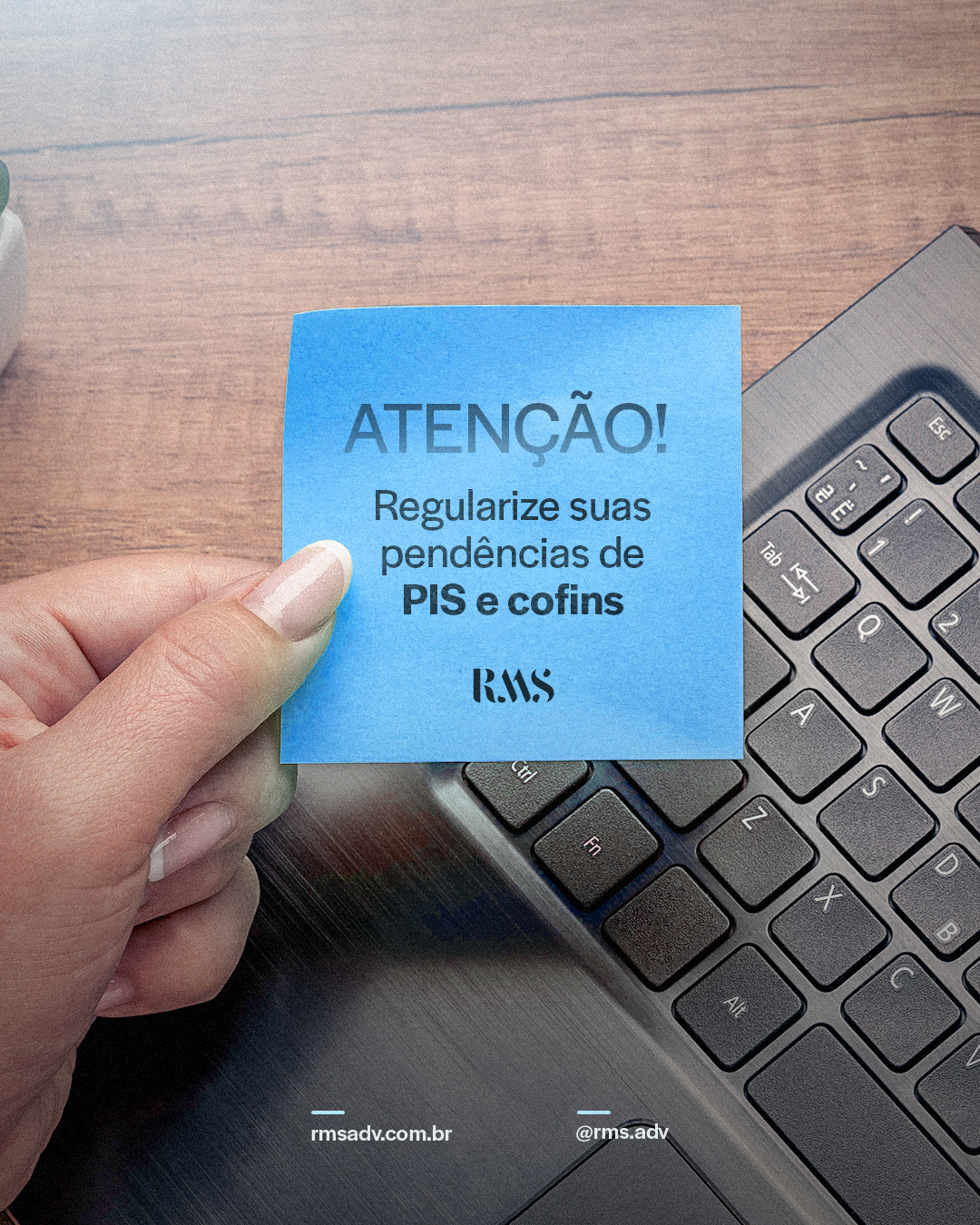 Regularize as pendências de PIS e Cofins